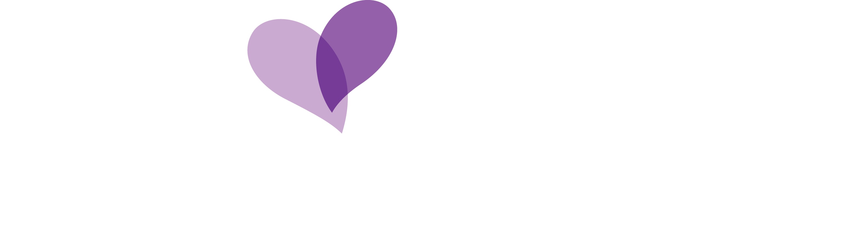 In Partnership With